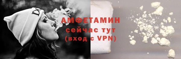 сатива Алзамай