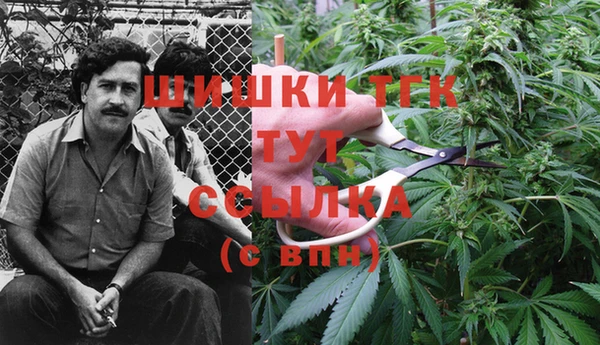 прущие грибы Алексин