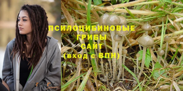 сатива Алзамай